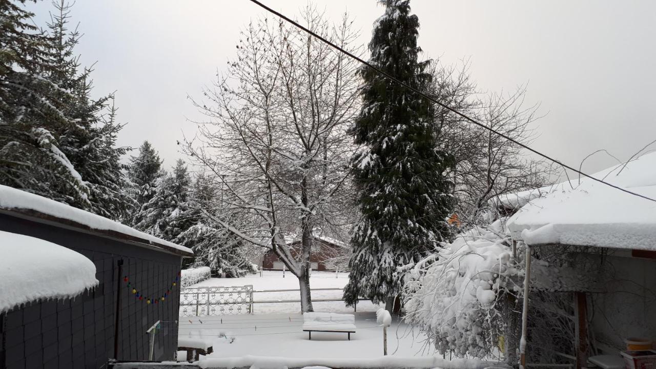 Ferienwohnungen! Kleine Bungalows Mit Terrasse! Stockhausen-Illfurth المظهر الخارجي الصورة