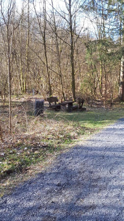 Ferienwohnungen! Kleine Bungalows Mit Terrasse! Stockhausen-Illfurth المظهر الخارجي الصورة
