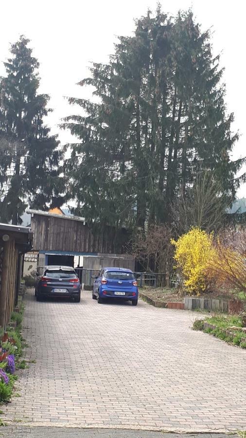 Ferienwohnungen! Kleine Bungalows Mit Terrasse! Stockhausen-Illfurth المظهر الخارجي الصورة